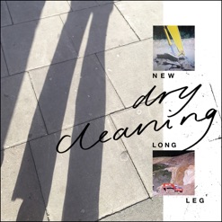 NEW LONG LEG cover art