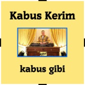 Kabus Gibi artwork
