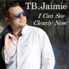 I Can See Clearly Now - Single