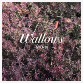 Wallows - Ground