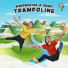 Trampoline - Single