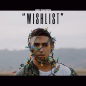 Wishlist artwork