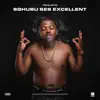 Sghubu Ses Excellent album lyrics, reviews, download