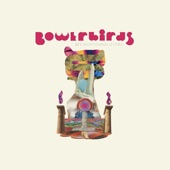 Bowerbirds - Seems Impossible