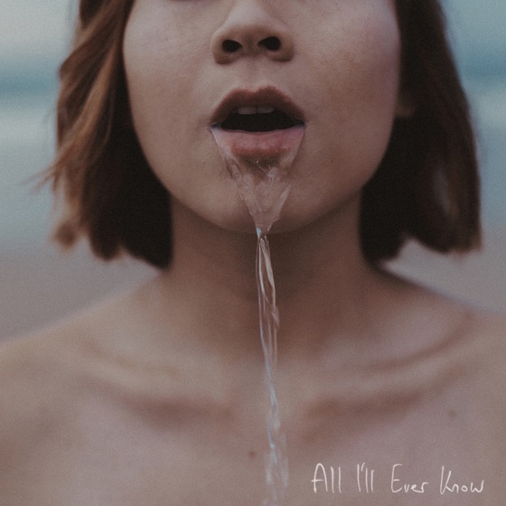 Cover artwork for All I'll Ever Know
