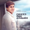 Синсез мин яши алмыйм - Single