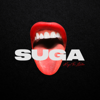 Megan Thee Stallion - Suga artwork