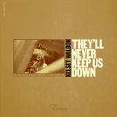 They'll Never Keep Us Down artwork