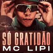 Só Gratidão artwork