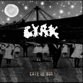 Cate Le Bon - Falcon Eyed