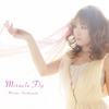 Miracle Fly - Single