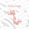 Labyrinth (with Al Di Meola, Brian Bromberg, Xavier Desandre Navarre, Vytautas Sondeckis & Domingo Patricio) album lyrics, reviews, download