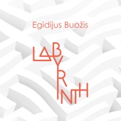 Labyrinth (with Al Di Meola, Brian Bromberg, Xavier Desandre Navarre, Vytautas Sondeckis & Domingo Patricio) artwork