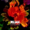 Everbloom - Single