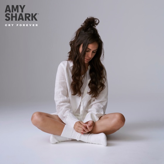 Cover artwork for The Wolves