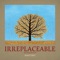 Irreplaceable (Reinterpreted) artwork