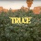 Truce - Wes Leslie lyrics
