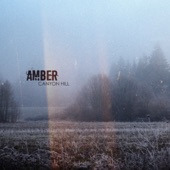Amber (Extended Mix) artwork