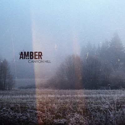 Amber (Radio Edit)