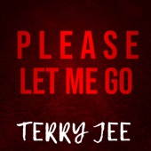 Please Let Me Go artwork