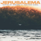 Jerusalema (Remix) artwork
