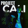Project Cali