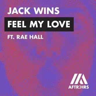 Feel My Love (feat. Rae Hall) by Jack Wins song reviws