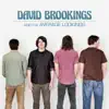 David Brookings and the Average Lookings album lyrics, reviews, download