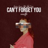 Can't Forget You (Acoustic) - Single