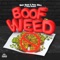 Boof Weed (feat. Ruben Moreno) - Baby Bash & Paul Wall lyrics