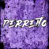 Perreito (feat. El Kaio & Maxi Gen) [Remix] - Single album lyrics, reviews, download