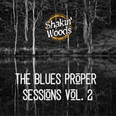 Shakin Woods - I Believe I'll Dust My Broom