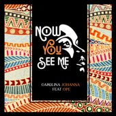 Now You See Me (feat. Ope) artwork
