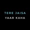 Tere Jaisa Yaar Kaha artwork