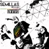 Semillas Reggae - Ay, Amor!