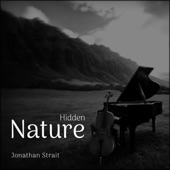 Hidden Nature artwork