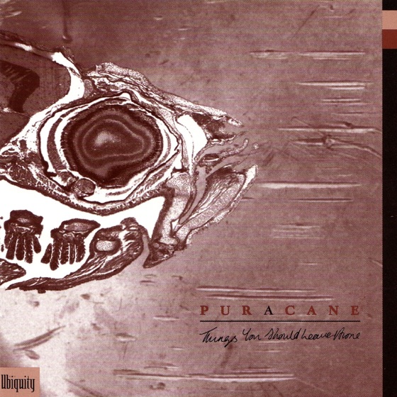 Cover artwork for Big Day