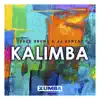 Stream & download Kalimba - Single