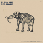 The Elusive Highland Beauty - Elephant Sessions