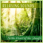 In the Heart of the Jungle: Relaxing Sounds - African Wildlife, Tropical Forest, Exotic Paradise, The Kingdom of Nature artwork