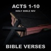 Holy Bible Niv Acts 1 - 10