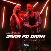Gram po gram (feat. Savo Perović) artwork