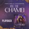 Eu Te Chamei (feat. Vanilda Bordieri) - Raquel Veras lyrics