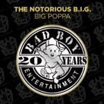 The Notorious B.I.G. - Big Poppa (Radio Edit)