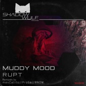 Muddy Mood - EP artwork