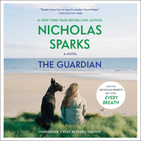 Nicholas Sparks - The Guardian artwork