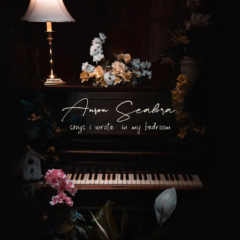 Anson Seabra - Songs I Wrote in My Bedroom (2020) [iTunes Plus AAC M4A]-新房子