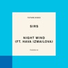 Night Wind (feat. Hava Izmailova) - EP