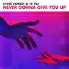 Never Gonna Give You Up - Single album lyrics, reviews, download