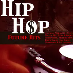 Hip Hop Future Hits by Various Artists album reviews, ratings, credits